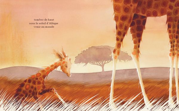 Une girafe �a sourit, oui!